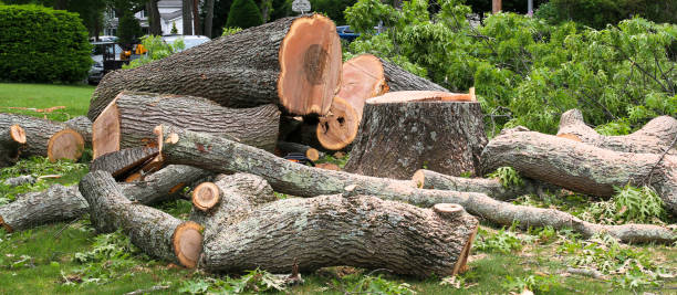 Best Aeration Services  in Loveland, OH
